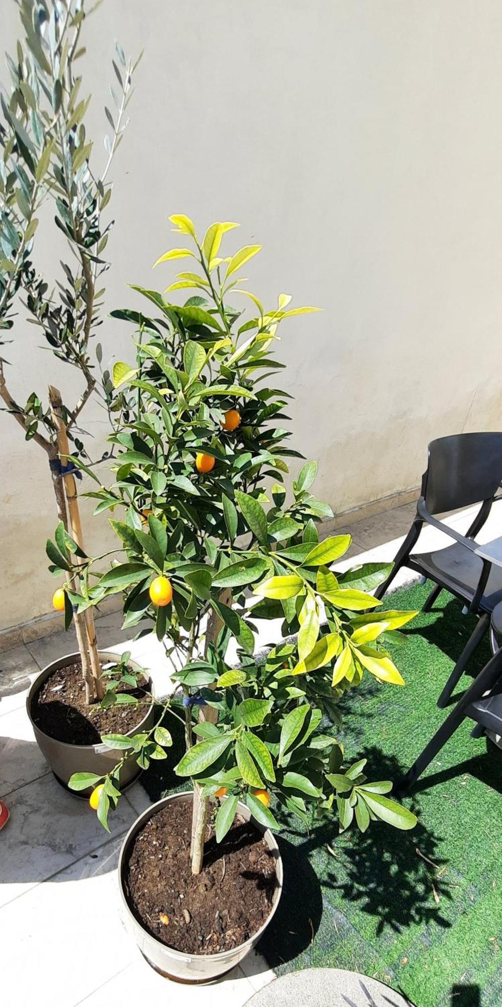 Apartamento Hidden Gem, Modern 2bedroom, Amazing Terrace-free Parking-your Away From