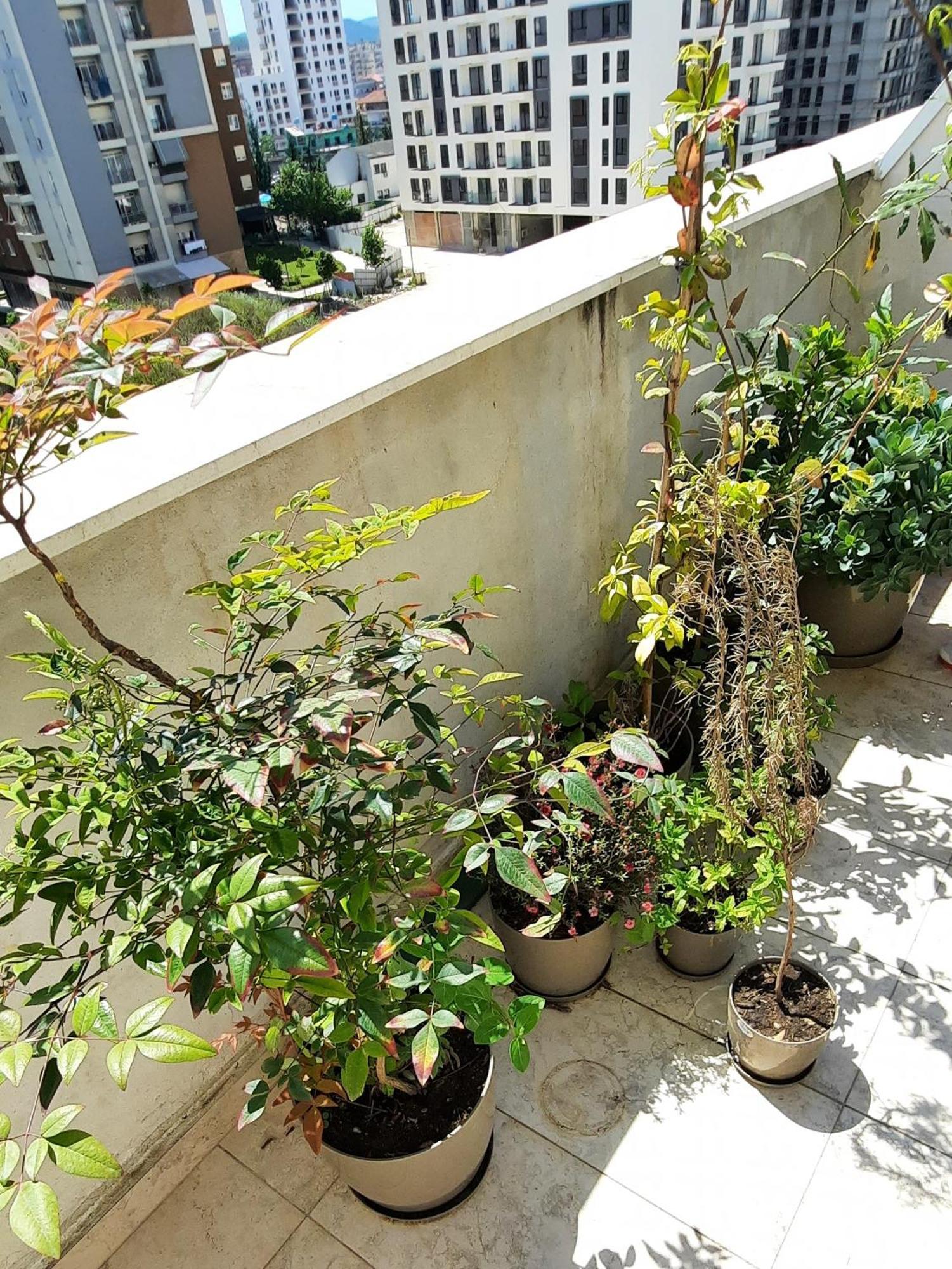 Hidden Gem, Modern 2bedroom, Amazing Terrace-free Parking-your Away From Apartamento
